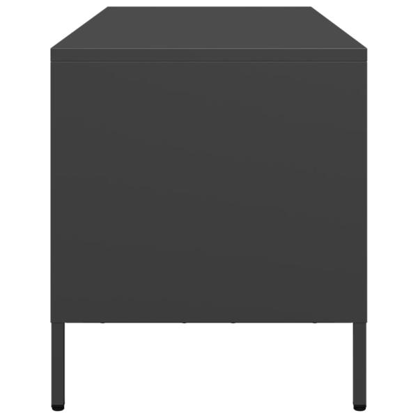 TV-Schrank Schwarz 101,5x39x43,5 cm Kaltgewalzter Stahl