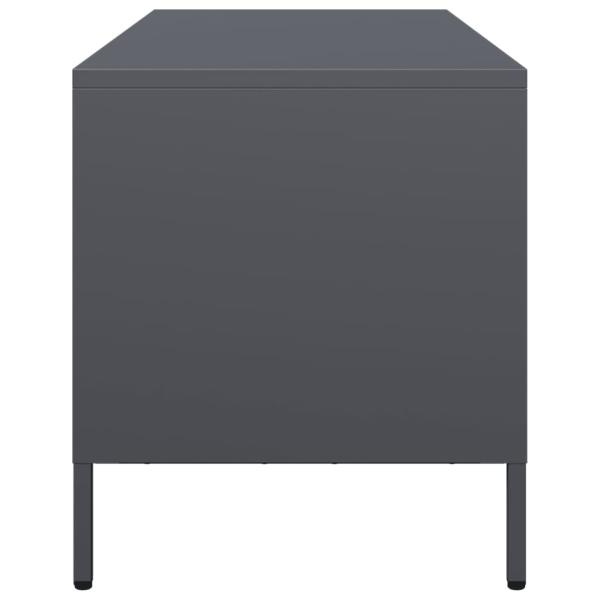 TV-Schrank Anthrazit 101,5x39x43,5 cm Kaltgewalzter Stahl
