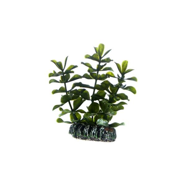 ARDEBO.de Dohse HOBBY Bacopa 7 cm