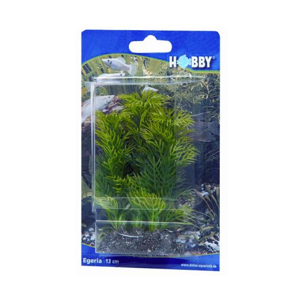ARDEBO.de Dohse HOBBY Egeria 13 cm