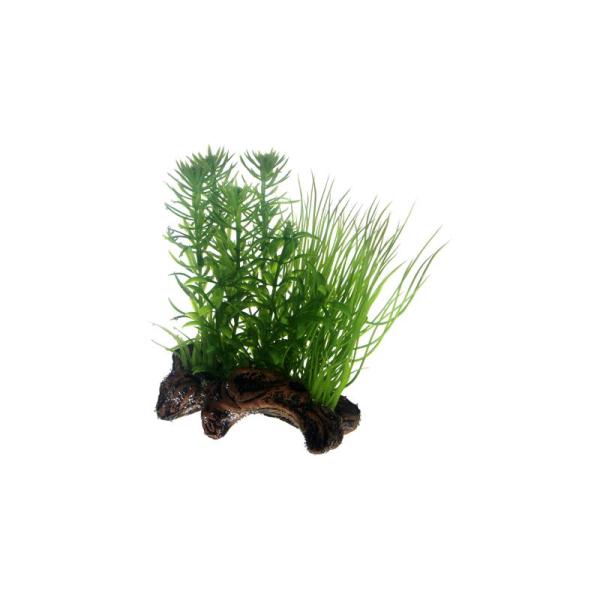ARDEBO.de Dohse HOBBY Flora Root 2 Small 17 cm