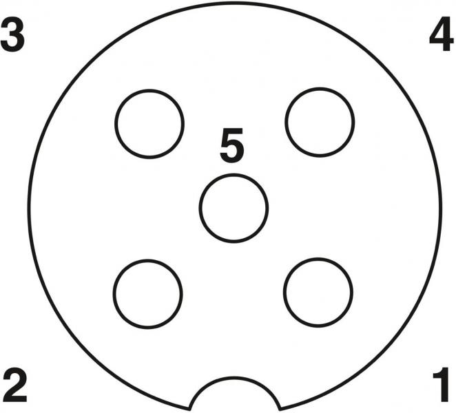 Phoenix Contact SAC-5P-10,0-PUR/M12FS - Sensor-/Aktor-Kabel (1683374)