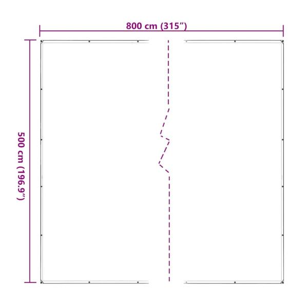 Transparente Plane mit Ösen 5x8 m Polyethylen