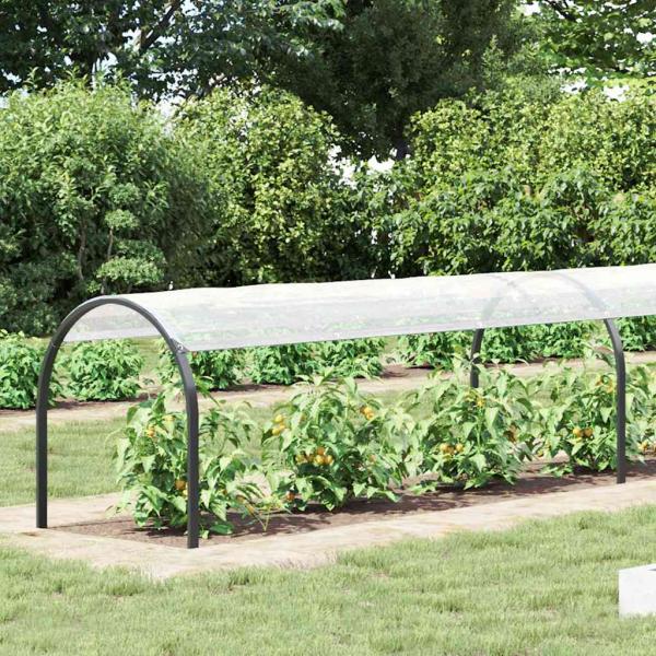 Transparente Plane mit Ösen 1x8 m Polyethylen