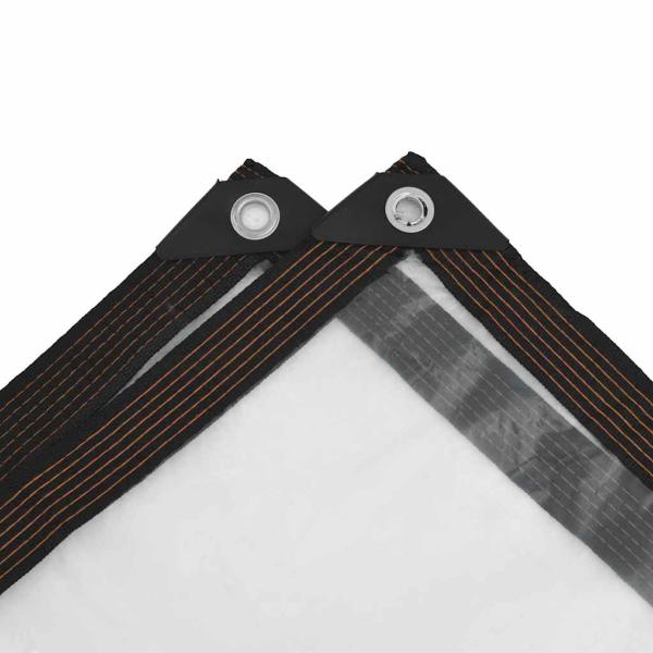 Transparente Plane mit Ösen 2x4 m Polyethylen