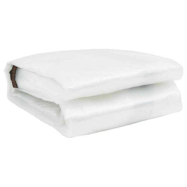 Transparente Plane mit Ösen 6x10 m Polyethylen