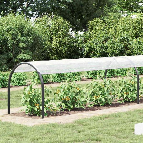 Transparente Plane mit Ösen 1x10 m Polyethylen