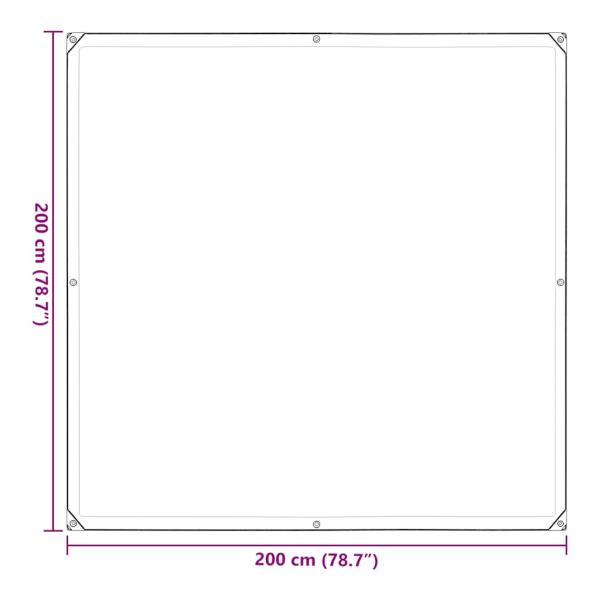 Transparente Plane mit Ösen 2x2 m Polyethylen
