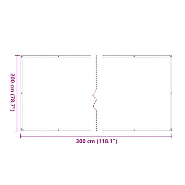 Transparente Plane mit Ösen 2x3 m Polyethylen