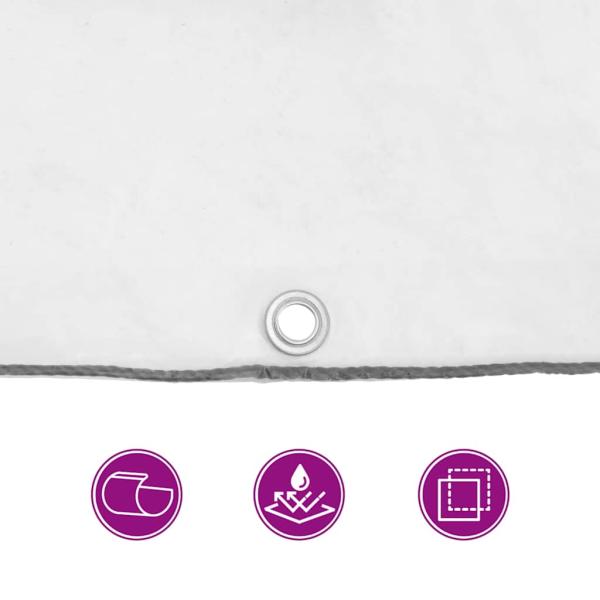 Transparente Plane mit Ösen 2x12 m Polyethylen