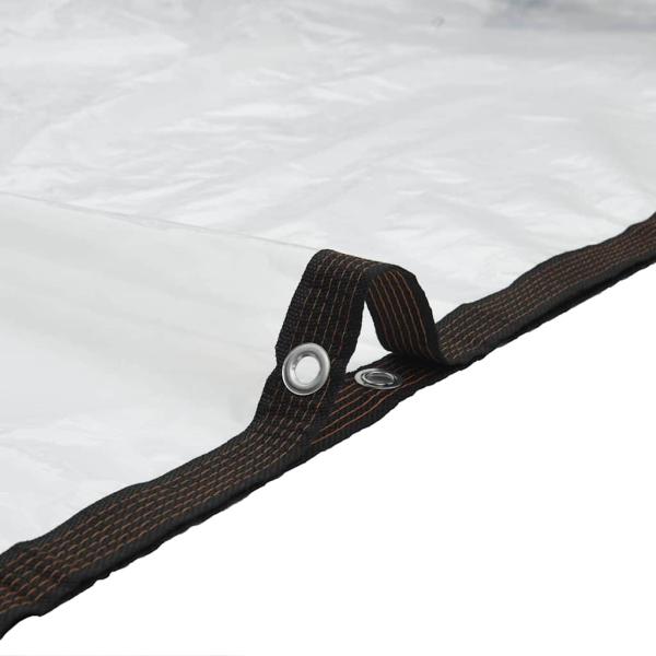 Transparente Plane mit Ösen 3x8 m Polyethylen