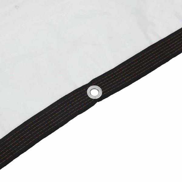 Transparente Plane mit Ösen 2x8 m Polyethylen