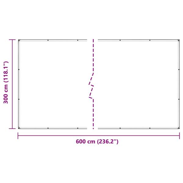Transparente Plane mit Ösen 3x6 m PVC