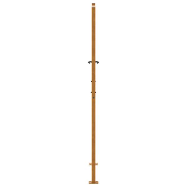 Gartentor 105x180 cm Wetterfester Stahl Blatt-Design