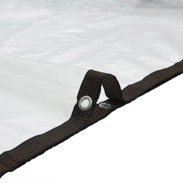 Transparente Plane mit Ösen 1x3 m Polyethylen