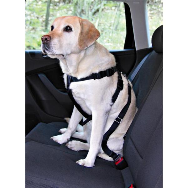 ARDEBO.de Trixie Auto Sicherheitsgeschirr S: 30 bis 60 cm