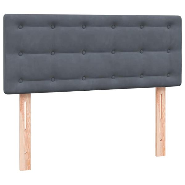 Boxspringbett mit Matratze Dunkelgrau 120x220 cm Samt