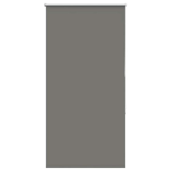 Verdunkelungsrollo Grau 80x150 cm Stoffbreite 75,7 cm Polyester