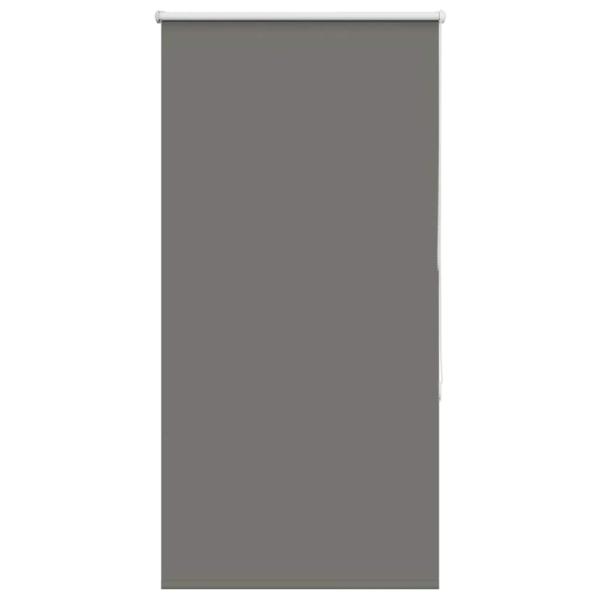 Verdunkelungsrollo Grau 75x175 cm Stoffbreite 70,7 cm Polyester