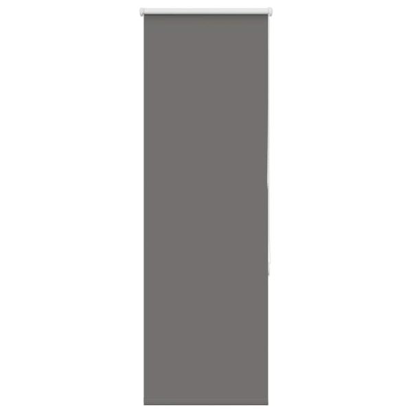 Verdunkelungsrollo Grau 55x150 cm Stoffbreite 50,7 cm Polyester