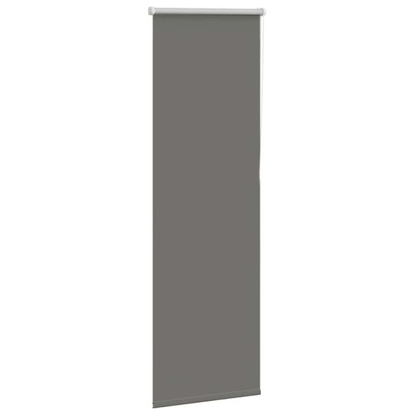Verdunkelungsrollo Grau 55x150 cm Stoffbreite 50,7 cm Polyester