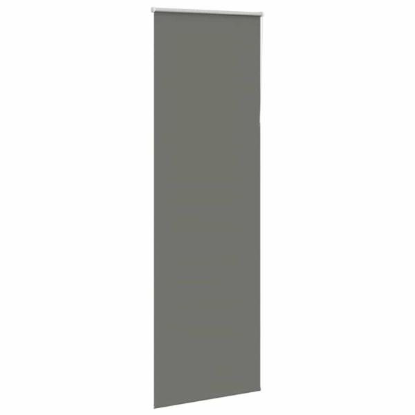 Verdunkelungsrollo Grau 65x210 cm Stoffbreite 60,7 cm Polyester