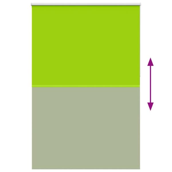 Verdunkelungsrollo Grün 165x210cm Stoffbreite 161,6cm Polyester