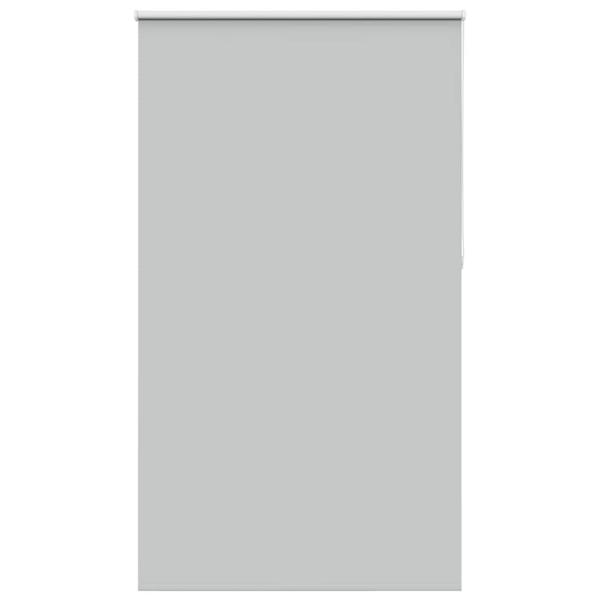ARDEBO.de - Verdunkelungsrollo Hellgrau 125x230cm Stoffbreite 121,6cm