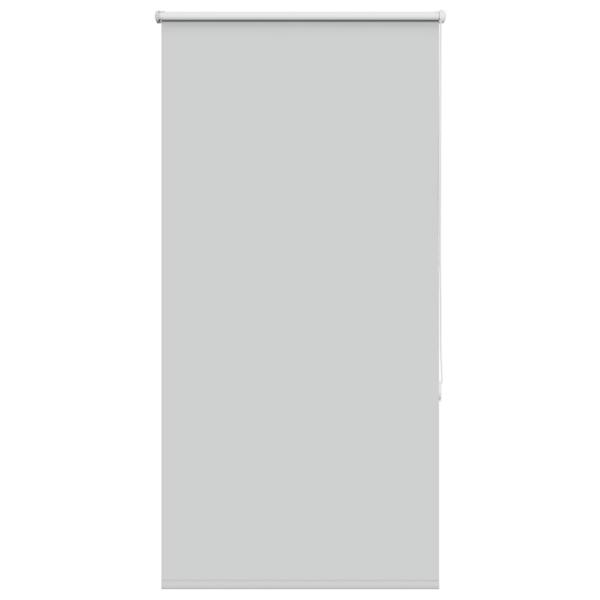 ARDEBO.de - Verdunkelungsrollo Hellgrau 80x150 cm Stoffbreite 75,7 cm