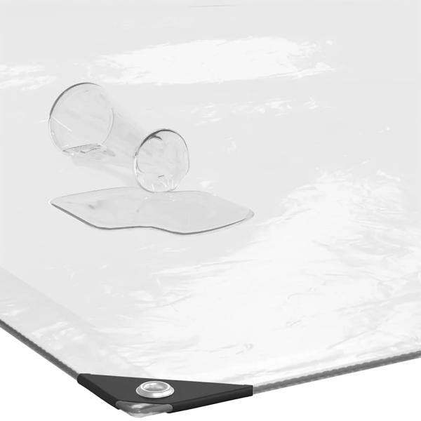 Transparente Plane mit Ösen 1x3 m Polyethylen