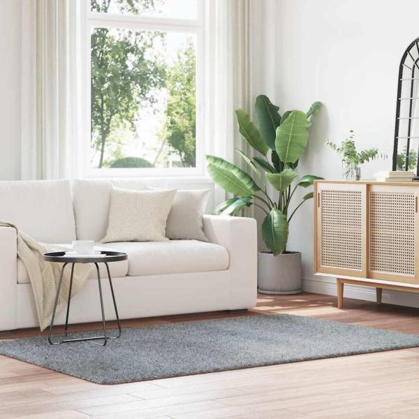 ARDEBO.de - Teppich Shaggy Hochflor NAVARRA Hellgrau 130x200 cm Polyester