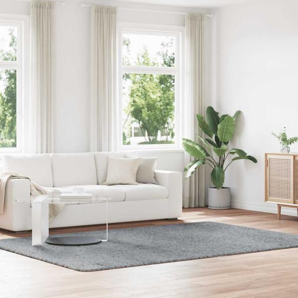 ARDEBO.de - Teppich Shaggy Hochflor NAVARRA Hellgrau 200x290 cm Polyester
