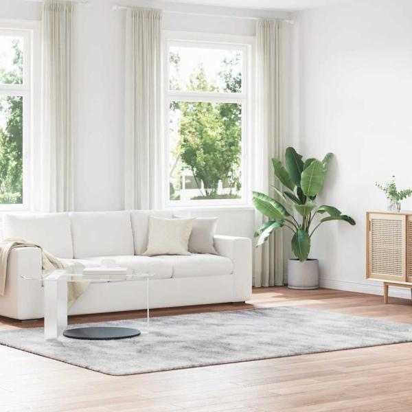 ARDEBO.de - Teppich Shaggy Hochflor NAVARRA Silbergrau 200x290 cm Polyester