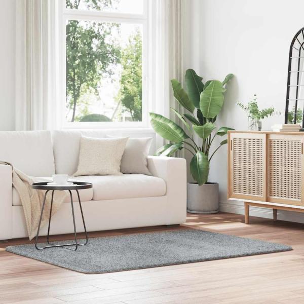 ARDEBO.de - Teppich Shaggy Hochflor NAVARRA Hellgrau 120x170 cm Polyester
