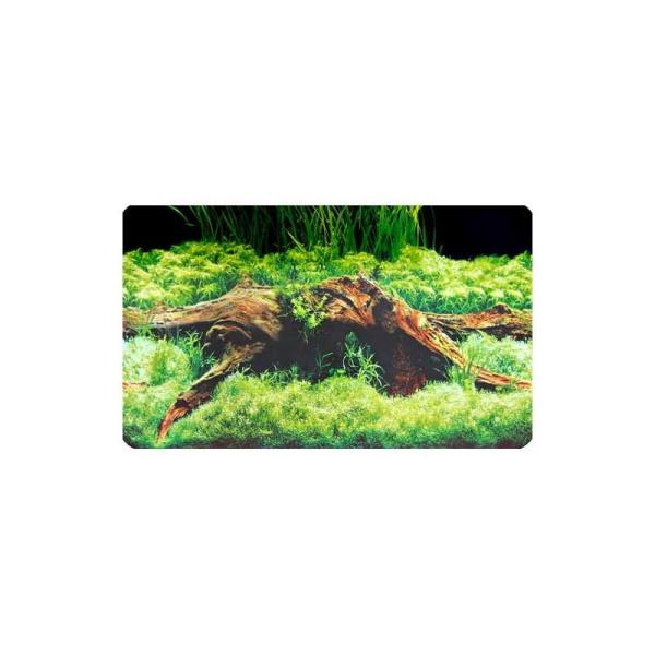 ARDEBO.de Dohse HOBBY Fotorückwand Spring / Moss 30 cm per Meter