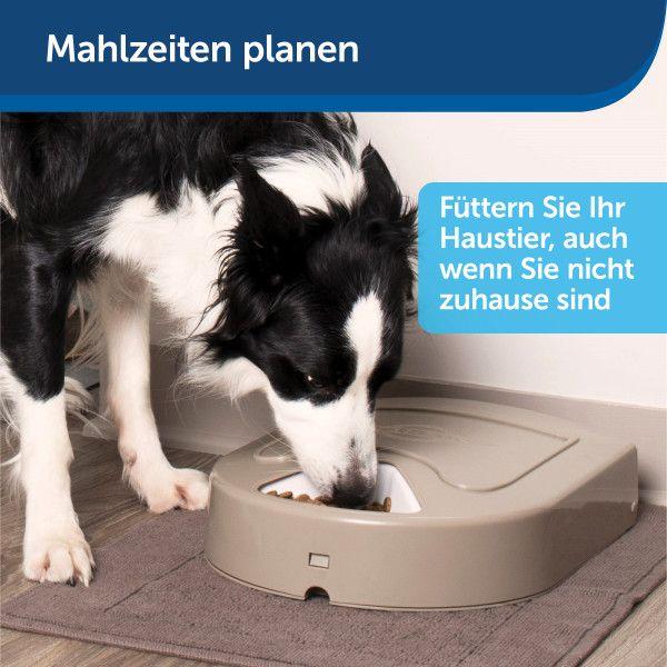 PetSafe Futterautomat Eatwell für 5 Mahlzeiten