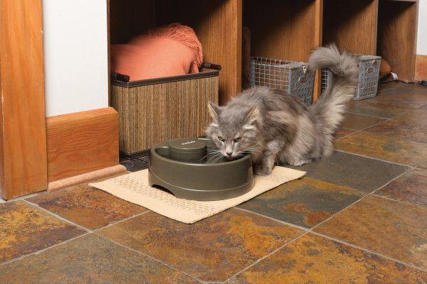 PetSafe Trinkbrunnen Drinkwell Strömung M
