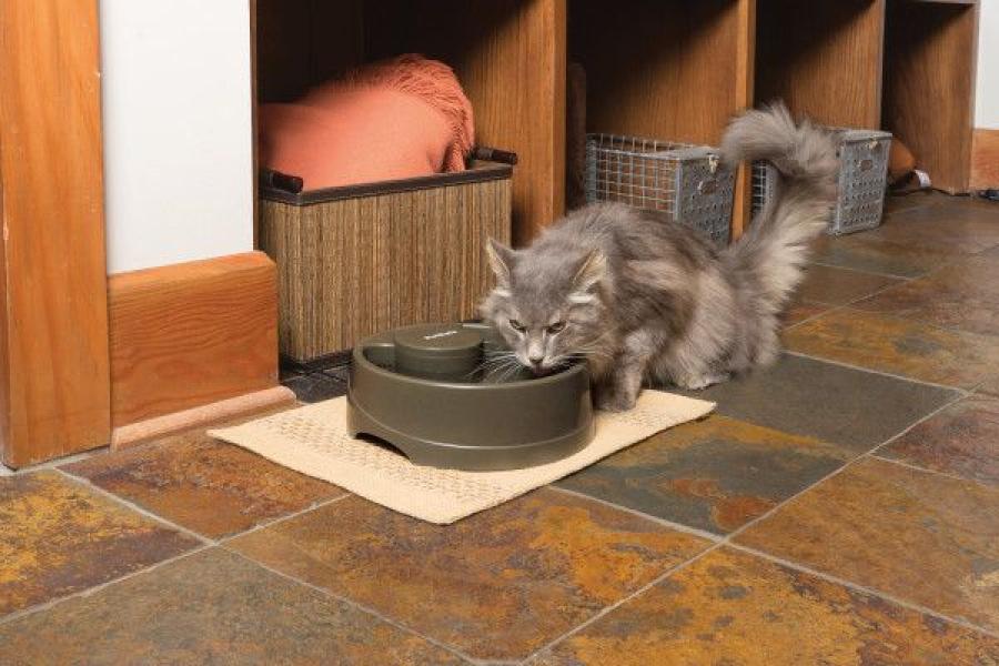 PetSafe Trinkbrunnen Drinkwell Strömung M