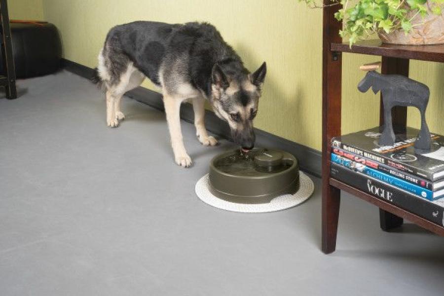 PetSafe Trinkbrunnen Drinkwell Strömung L