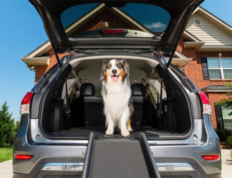 PetSafe Happy Ride Klappbare Hunderampe