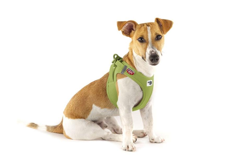 Curli Clasp Vest Geschirr Air-Mesh Lime 3XS