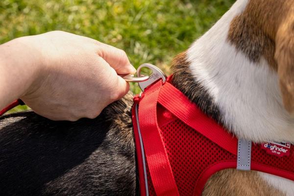 Curli Vest Harness Magnetic V2 Red 2 XS