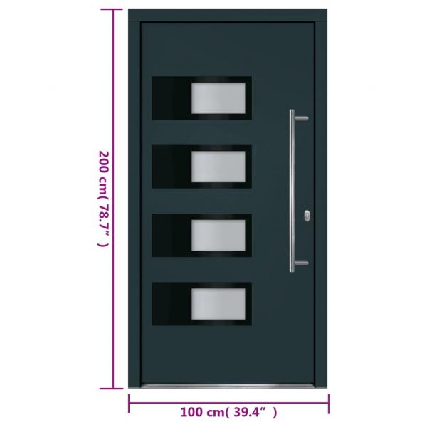 Haustür Anthrazit 100x200 cm Aluminium und PVC