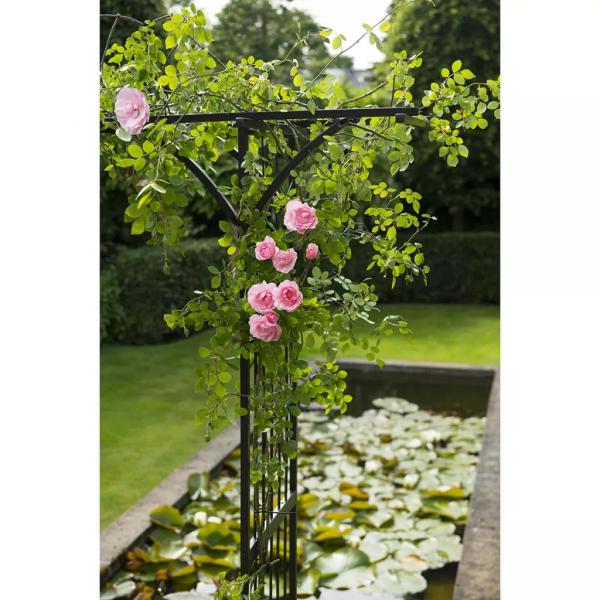 Nature Gartenbogen Metall 114x66x232 cm Schwarz
