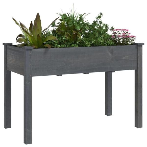 Pflanzkübel mit Einsatz Grau 118x59x76 cm Massivholz Tanne