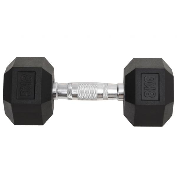 Kurzhanteln 2 Stk. 16 kg Gusseisen