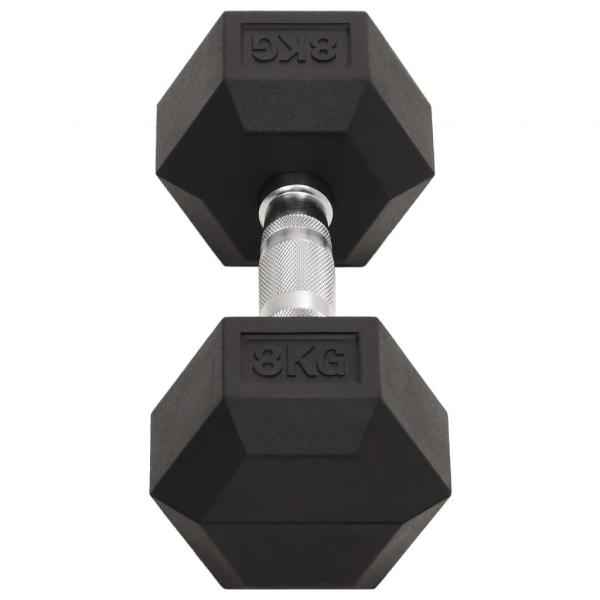 Kurzhanteln 2 Stk. 16 kg Gusseisen