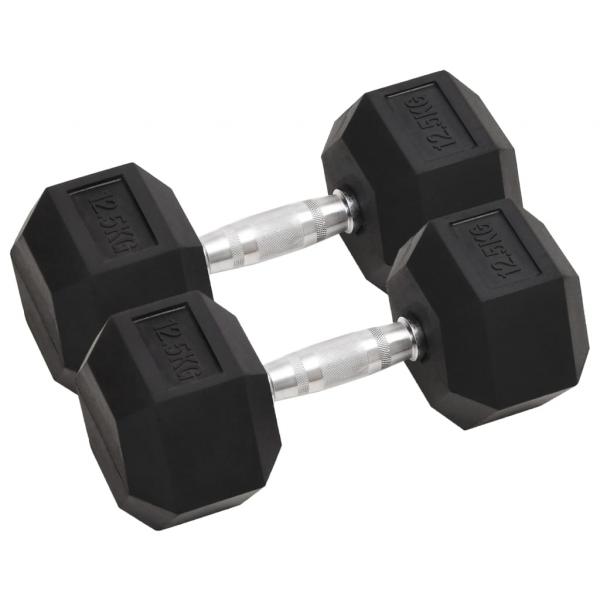 ARDEBO.de - Kurzhanteln 2 Stk. 25 kg Gusseisen