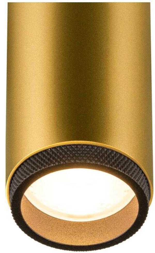 SLV GRIP! M Spot für 1-Phasen Hochvolt-Schienen-System, Ø4,3cm, 2000-3000K, Dim-to-Warm, Phase, 15W, gold/schwarz (1008434)