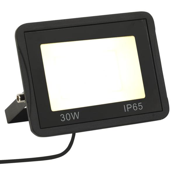 ARDEBO.de - LED-Fluter 30 W Warmweiß